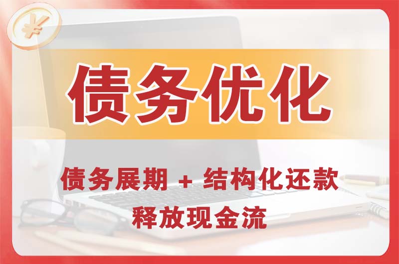 涞源债务优化